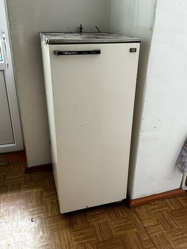 однокамерный холодильник: Холодильник Саратов, Однокамерный