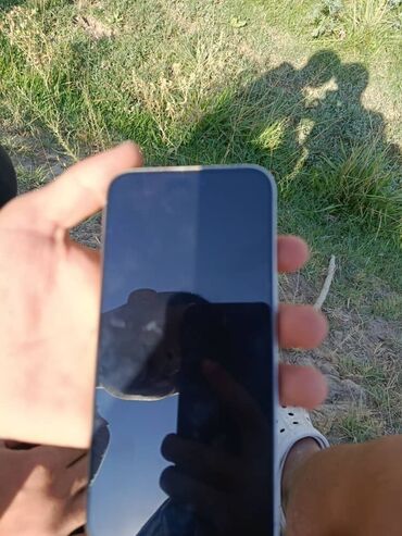 gps маяк для животных: IPhone 15 Pro Max, 256 ГБ, White Titanium