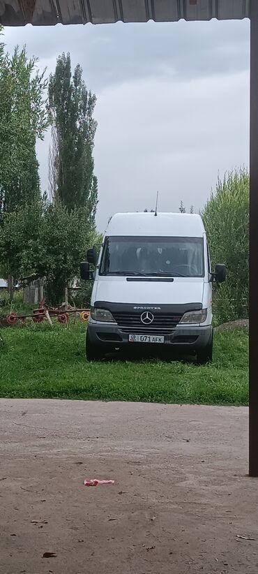 спринтер кузув: Легкий грузовик, Mercedes-Benz