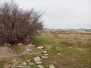 razinda torpag: Tikinti — 3