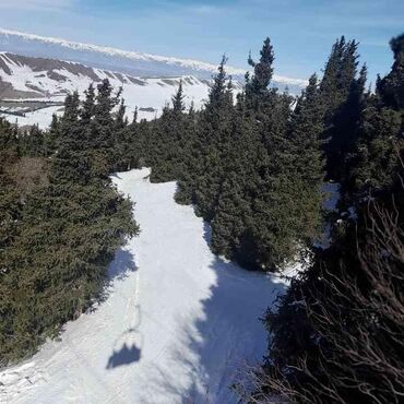 участок дешевле: Айыл чарба үчүн