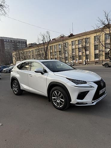Lexus: Lexus NX: 2017 г., Бензин, Кроссовер — 2