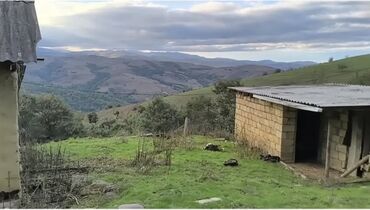 Həyət evləri və villaların satışı: Lerikin Noda kendinde. Heyet evi satilir. asfalta 2 degigelik yol — 4