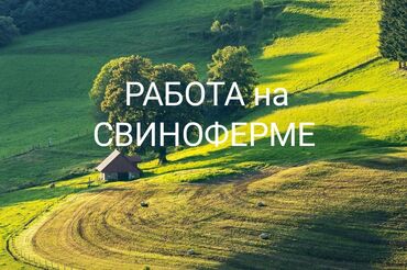 работа для детей 10 11 лет с зарплатой: Талап кылынат Малчы, Төлөм Ай сайын