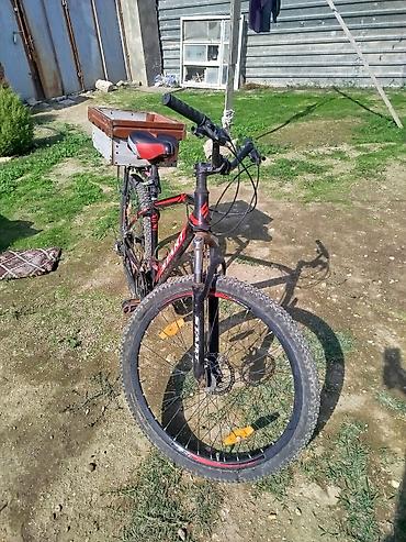 sport velosiped: Yükdaşıma qutulu dağ velosipedi - 29 düym təkərlər, qalın protektorlu — 1