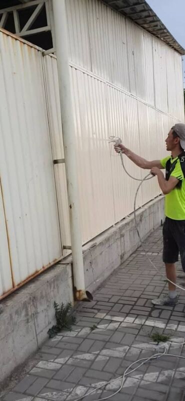 Покраска: Покраска стен, Больше 6 лет опыта — 11