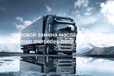 man tgx: С выездом