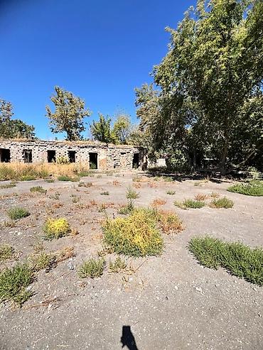 Продажа участков: 250 соток, Красная книга — 12