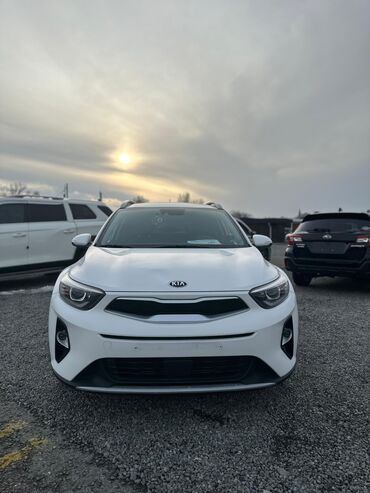 Kia: Kia Stonic: 2019 г., 1.4 л, Автомат, Бензин, Кроссовер — 7
