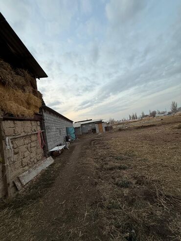 Продажа домов: Дом, 3500 м², 6 комнат, Собственник, Косметический ремонт — 16