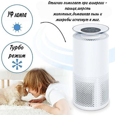 tp link deco: Воздухоочиститель Beurer Настольный, 50-70 м², Воздушный, НЕРА, Антибактериальный — 4