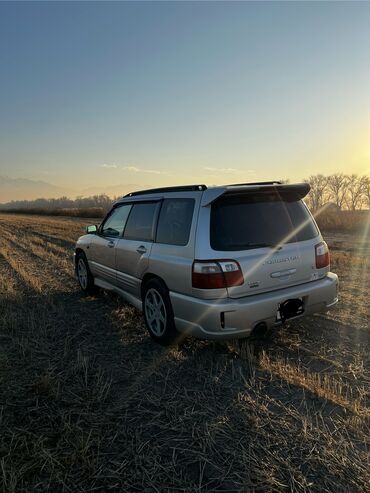 Subaru: Subaru Forester: 2000 г., Автомат, Газ, Кроссовер — 12