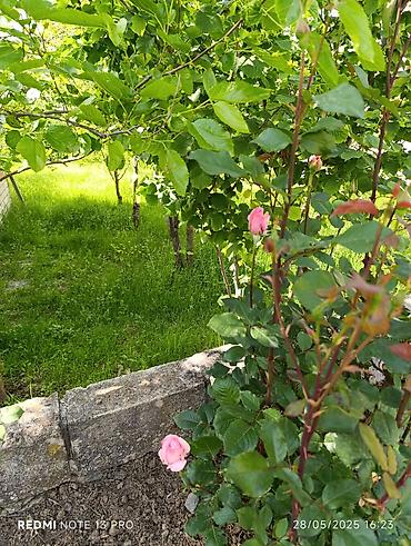 Uzunmüddətli kirayə evlər: 120 kv. m, 2 otaqlı, İnternet — 18