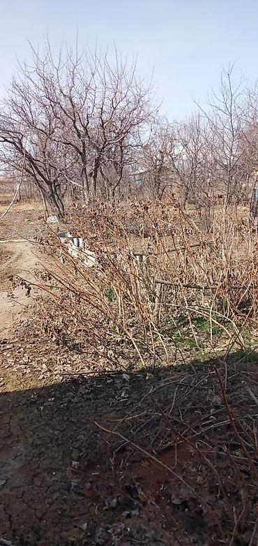 Продажа коттеджей и домов: Продаётся дом 📍 Адрес: Иссык-Кульская область, село Ананьево, ул — 7