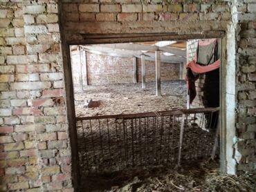 Сельхоз предприятия: Продаётся кошара 1500м2 с отдельным жилым домом 100м2 (внутри баня ) — 6