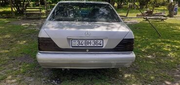 Mercedes-Benz: Mercedes-Benz 300: 3 l | 1997 il Sedan