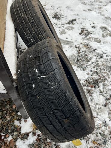 купить шины r 17: Шиналар 205 / 50 / R 17, Кыш, Колдонулган, Комплект, Жеңил унаалар, Thailand