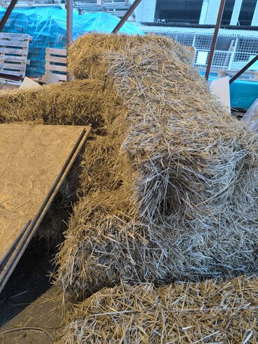 купить мешки для картофеля: Саман сатылат саман тюки саманы