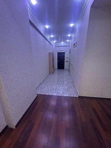 sut satisi: 3 otaqlı, Yeni tikili, 148 kv. m — 6