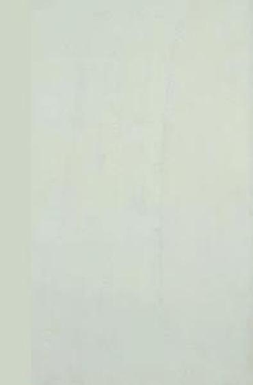 Motorne testere: VANSZERO set – vodilica i lanac za motorne testere - Dužina vodilice — 11