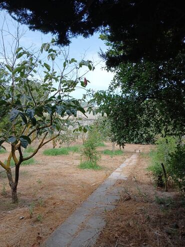 Həyət evləri və villaların satışı: Buzovna 8 otaq, 500 kv. m, Yeni təmirli — 3