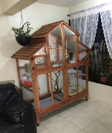 Qəfəslər: ✨ “Qəfəs Craft” – Sevimli heyvanlarınız üçün əl işi qəfəs və yuvalar — 9