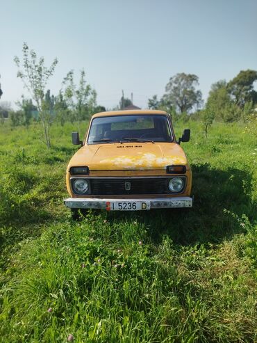 дом на колосах: Автомобиль ВАЗ-2121 "Нива" желтого цвета, трёхдверный внедорожник