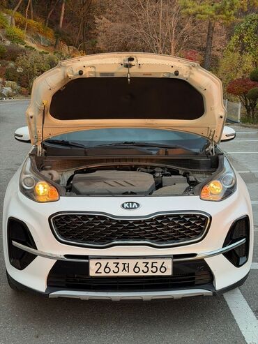 Kia: Kia Sportage: 2019 г., Кроссовер — 5