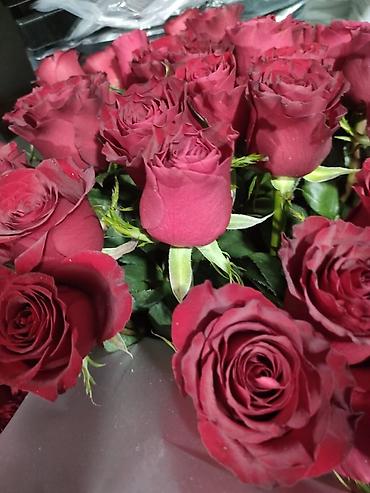 Букеты из живых цветов: Голландские Тюльпаны Оптом и в розницу!И Розы размеры 70см 80 см и 60 — 9