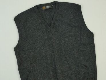 Men's Clothing: Sweter, L (EU 40), condition - Perfect