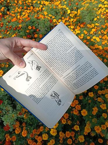 Книги и журналы: Русская литература, 11 класс, Новый, Платная доставка — 5