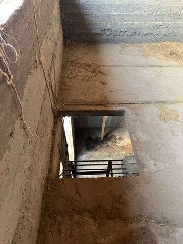 Продажа домов: Дом, 150 м², 7 комнат — 36