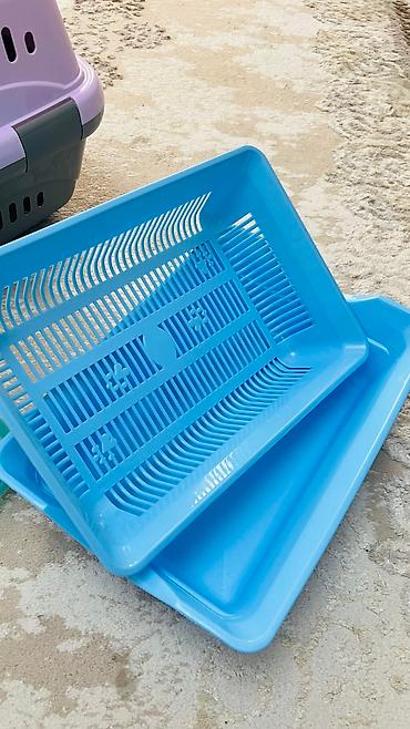 кой обмен: Продаю товары для кошки (всё в отличном состоянии): Посудка — две — 3