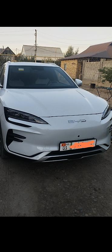 аксессуары для авто: BYD Song Plus: 2023 г., Электромобиль, Кроссовер — 1