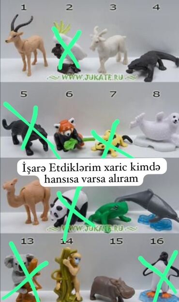 Heyvanlardan işarə edilenler xaric kimdə hansılar varsa alıram eləcədə