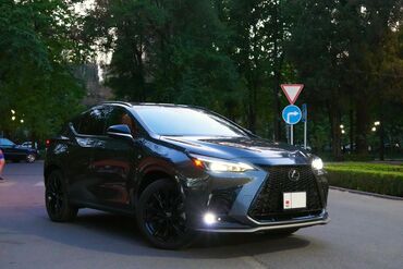 продажа лексус: Lexus NX: 2023 г., 2.4 л, Автомат, Бензин, Кроссовер
