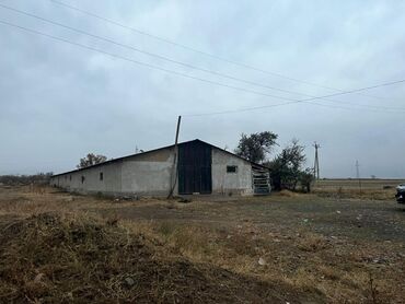 кантейнер дордой: Продажа сарай вместимостью на 100 быка. Из кирпича. +дача +ещё один