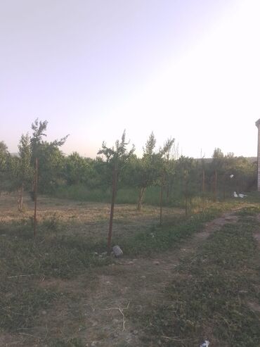 Torpaq sahələrinin satışı: 8 sot, Biznes üçün, Mülkiyyətçi, Kupça (Çıxarış)
