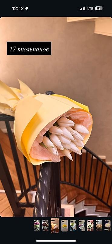 Букеты из живых цветов: Тюльпаны в стильной упаковке — яркие и нежные моно-букеты. Варианты — 8