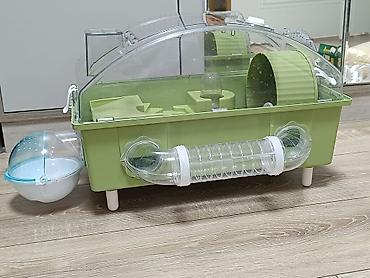 qefes satisi: Şəkildə gördüyünüz hamısı 60AZN Siçan/hamster üçün komplekt qəfəs — 3