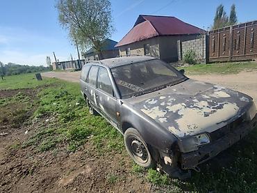 sg 9: Nissan Primera: 1992 г., 0.2 л, Механика, Бензин, Универсал — 3