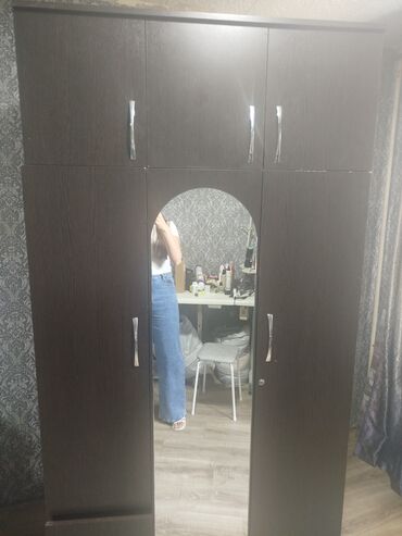 шкаф купе по индивидуальному заказу: Кийим салуучу шкаф, Колдонулган, Түз