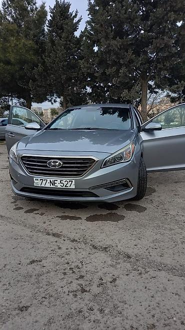 sonata 2015: Hyundai Sonata: 2.4 l | 2015 il Sedan — 5
