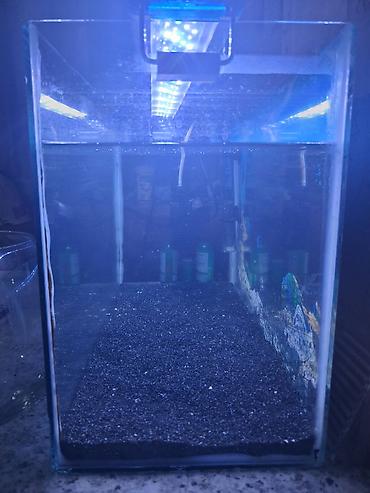 baliğ: Dördbucaq akvarium, Boş, 60 l, Ünvandan götürmə — 3