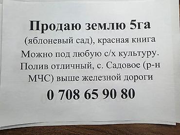 участо: 500 соток, Айыл чарба үчүн, Кызыл китеп — 1