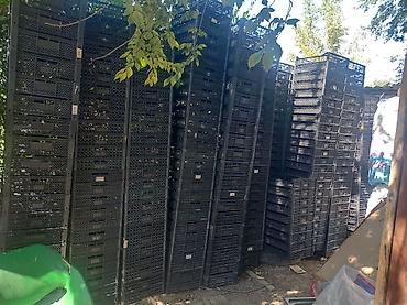 Прием пластика: Прием пластика, 5 - PP (полипропилен) — 7