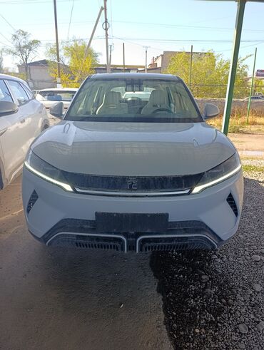 BYD: BYD : 2025 г., Робот, Электромобиль, Седан