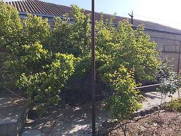 Həyət evləri və villalar: 150 kv. m, 3 otaqlı, Kombi, Qaz, İşıq — 4