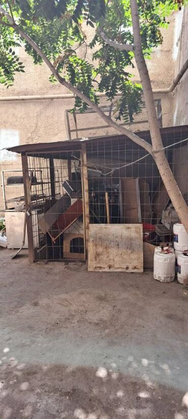 Sex, zavod və fabriklər: Səbail rayonu, Bayıl qəsəbəsi,Bayraq Meydanında piyada məsafədə -da lalafo.az — 28 Sex, zavod və fabriklər: Səbail rayonu, Bayıl qəsəbəsi,Bayraq Meydanında piyada məsafədə — 28