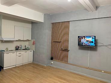 квартиры дома: Студия, 36 м², Индивидуалка, Цокольный этаж этаж, Косметический ремонт — 1
